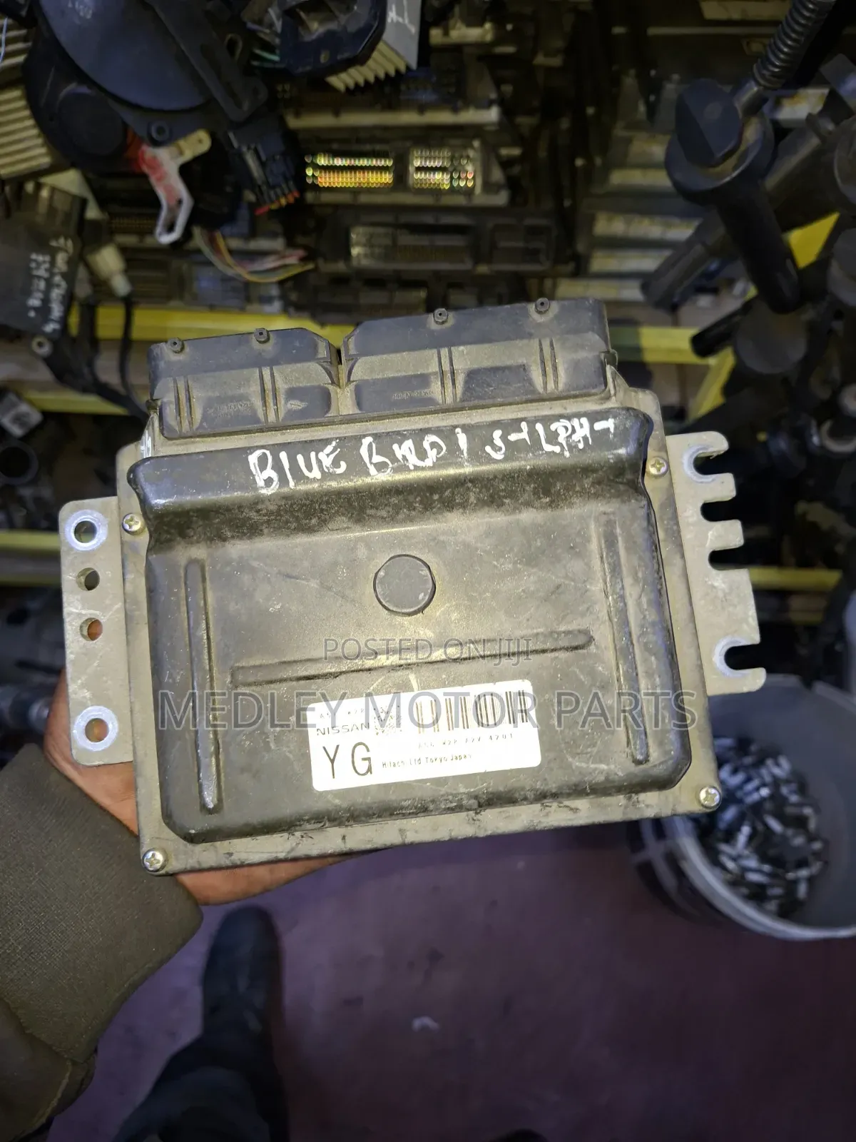 Nissan Bluebird ECU