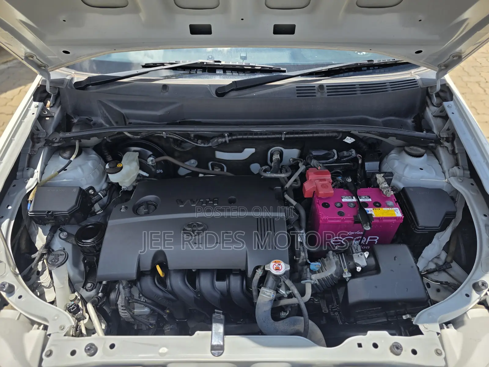 Toyota Succeed 2019 White