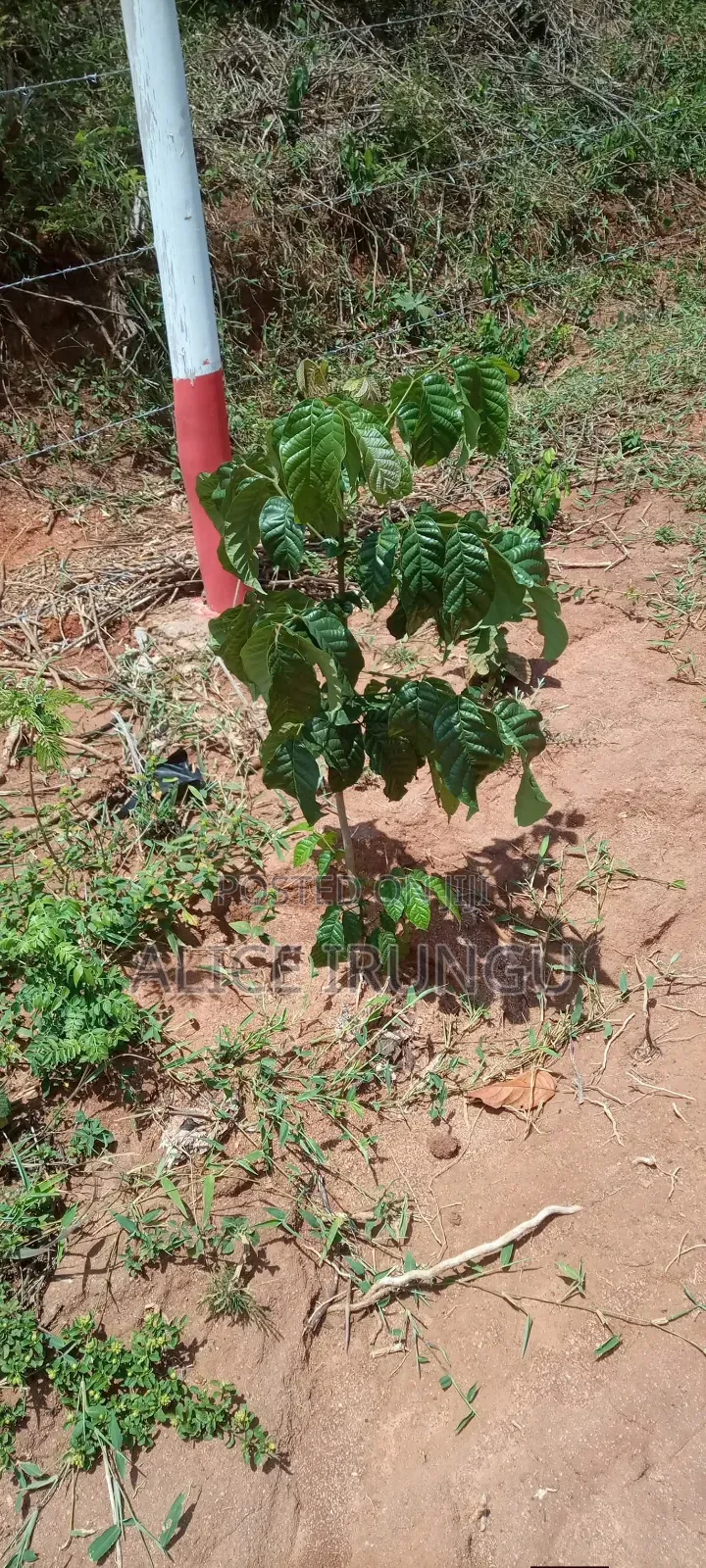 8 Acres of Prime Land for Sale Kabuta, Murang'a County