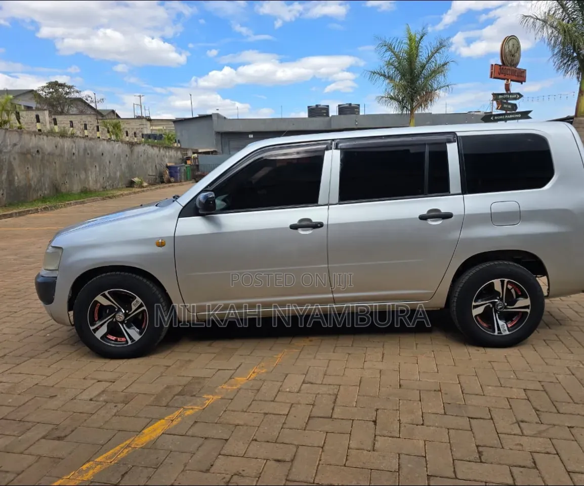 Toyota Probox 2011 Silver