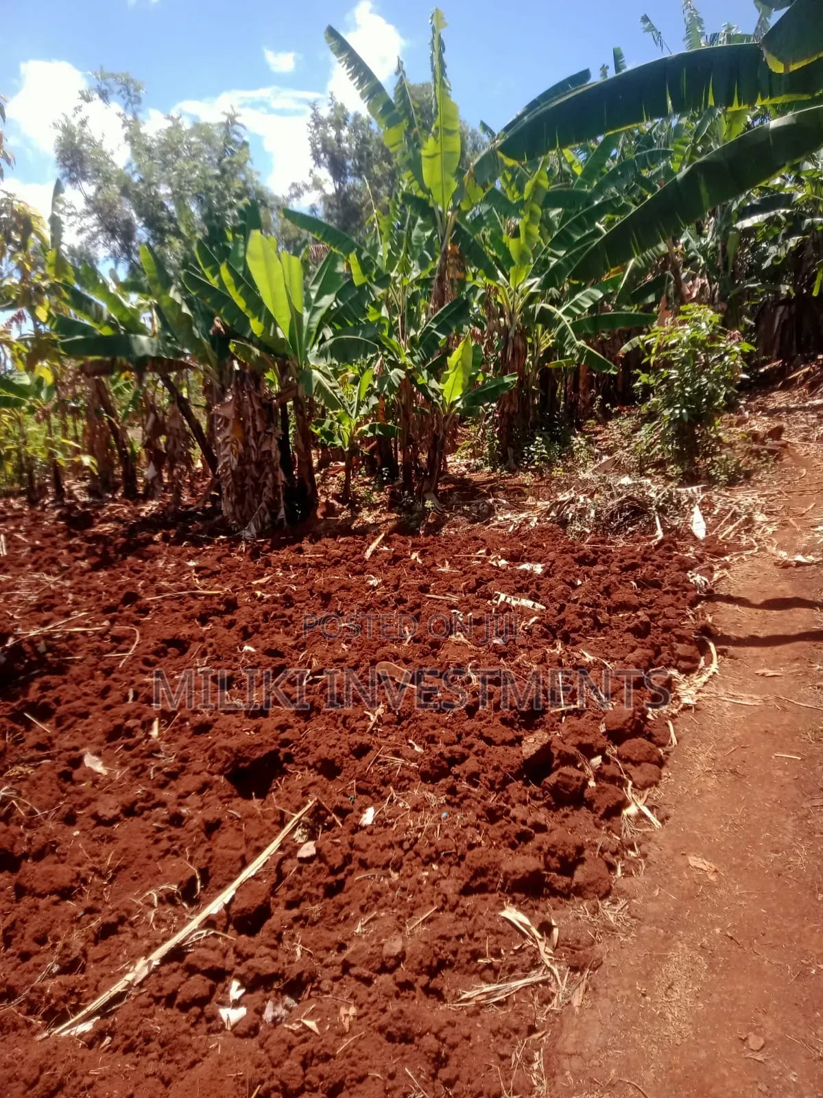 2 Acres on Sale at Maragua-Kaharati
