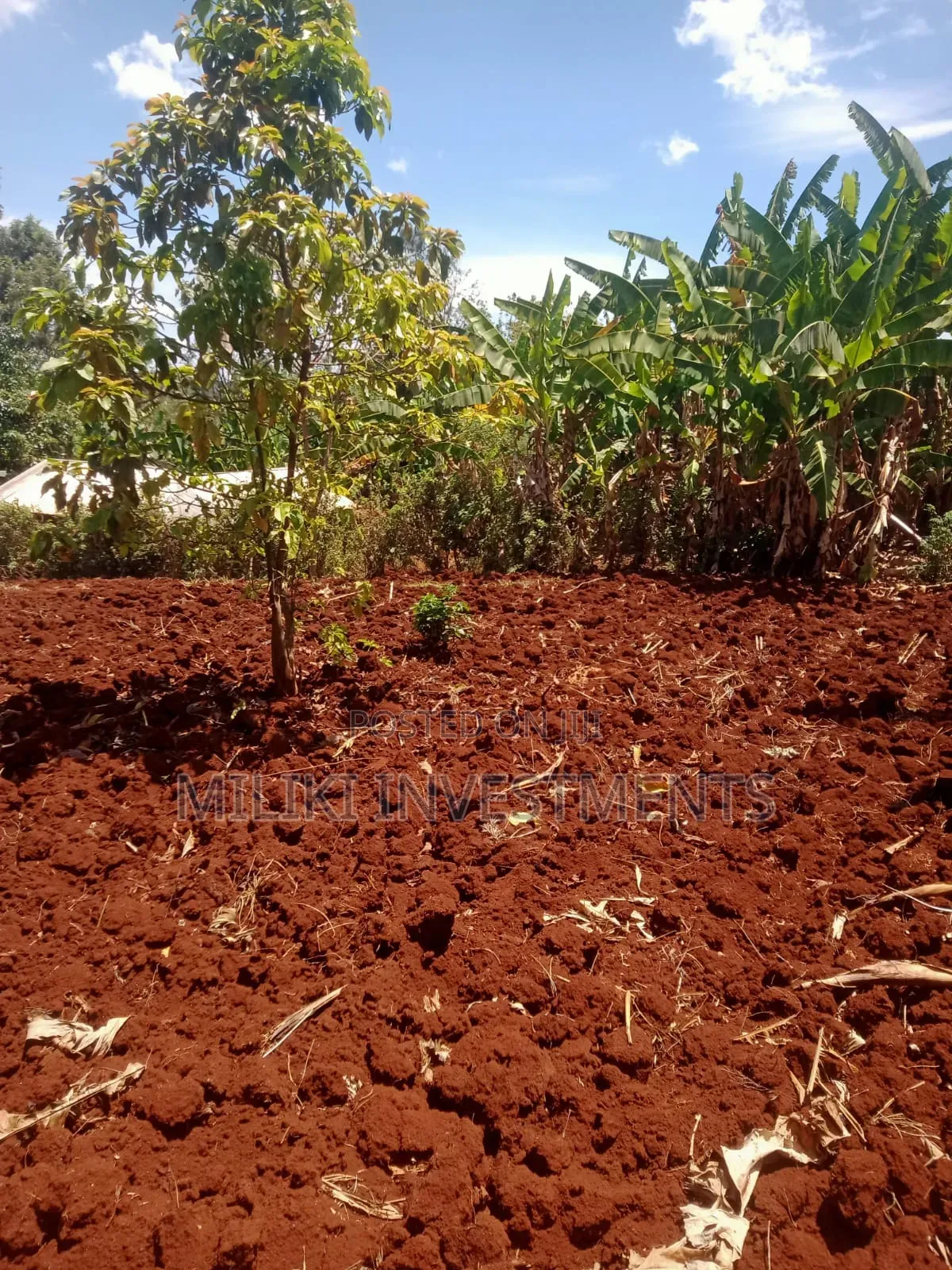 2 Acres on Sale at Maragua-Kaharati
