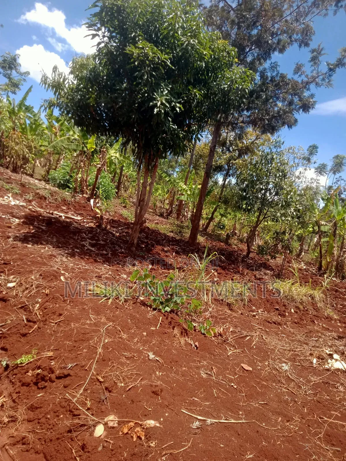 .9 Acres Commercia Land on Sale at Kaharati