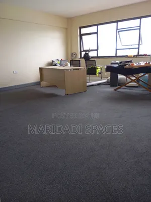 Charcoal Grey Delta Carpet Roll - Premium Soft and Warm Wall Carpet