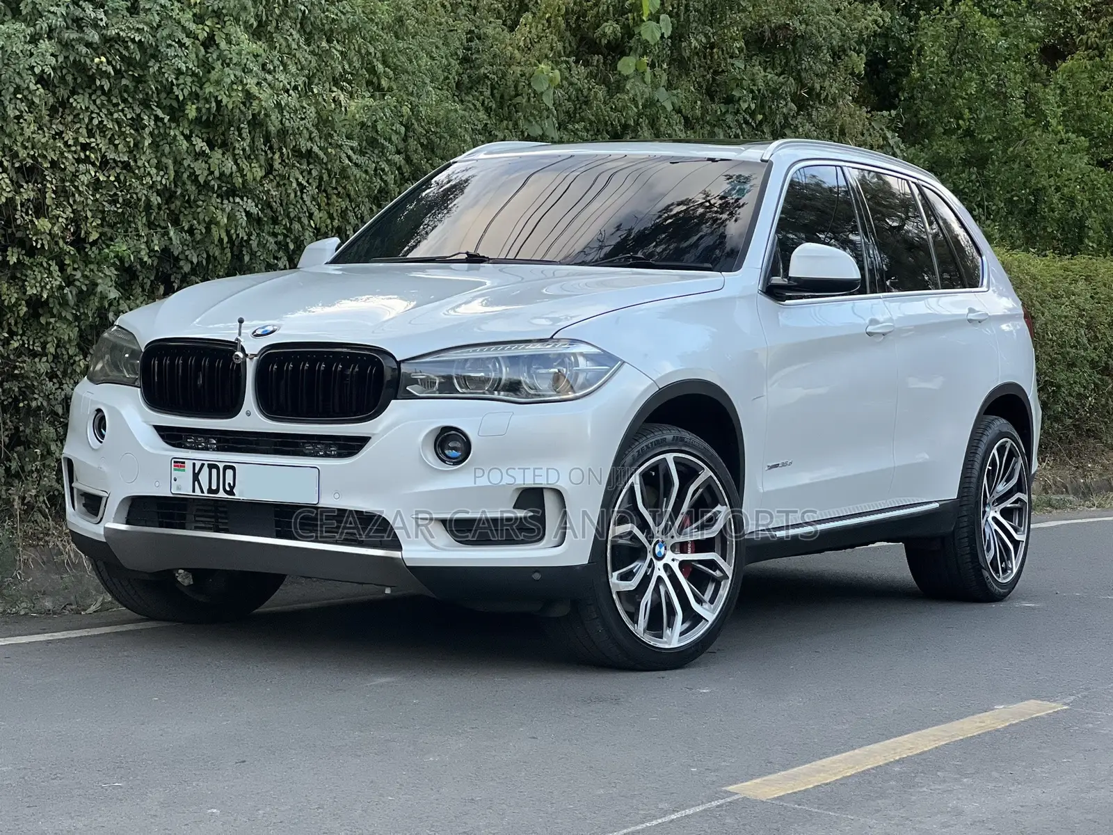 BMW X5 xDrive35d AWD (3.0L 6cyl 8A) 2016 White