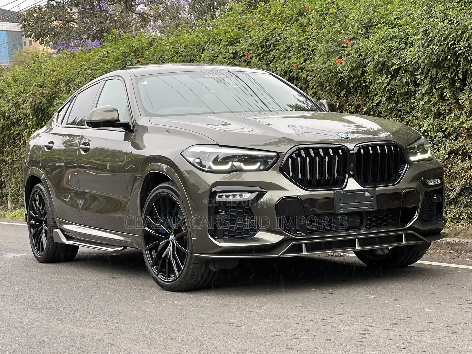 BMW X6 M Sport 2020 Green