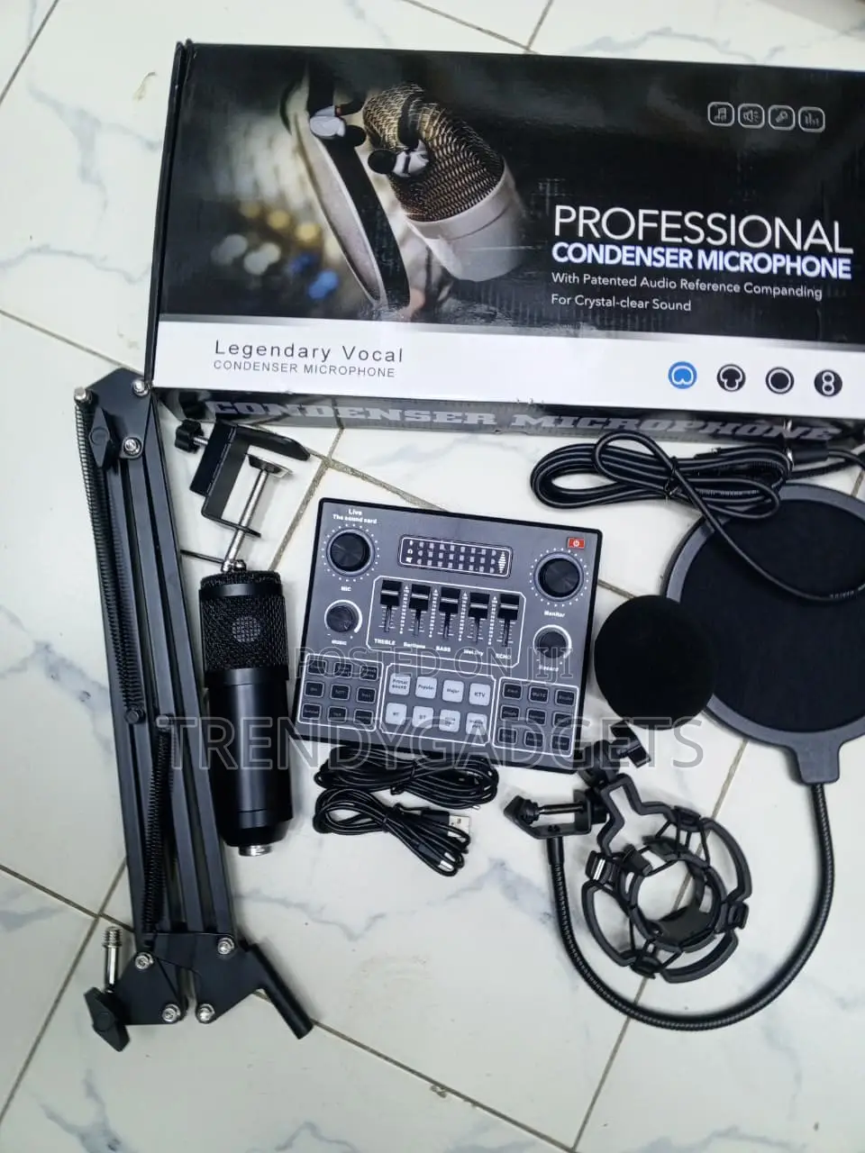 BM800 Recording Microphone Set With Scissor Arm and Pop Filter