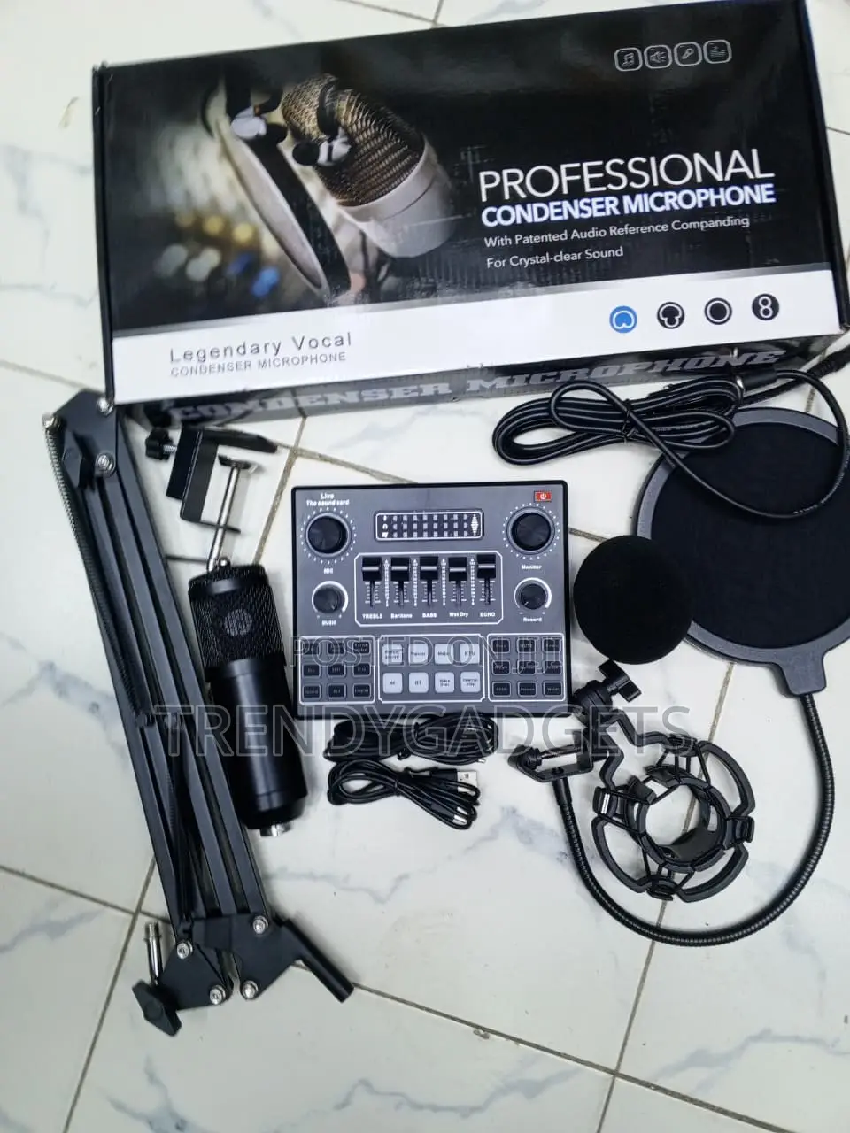 BM800 Recording Microphone Set With Scissor Arm and Pop Filter