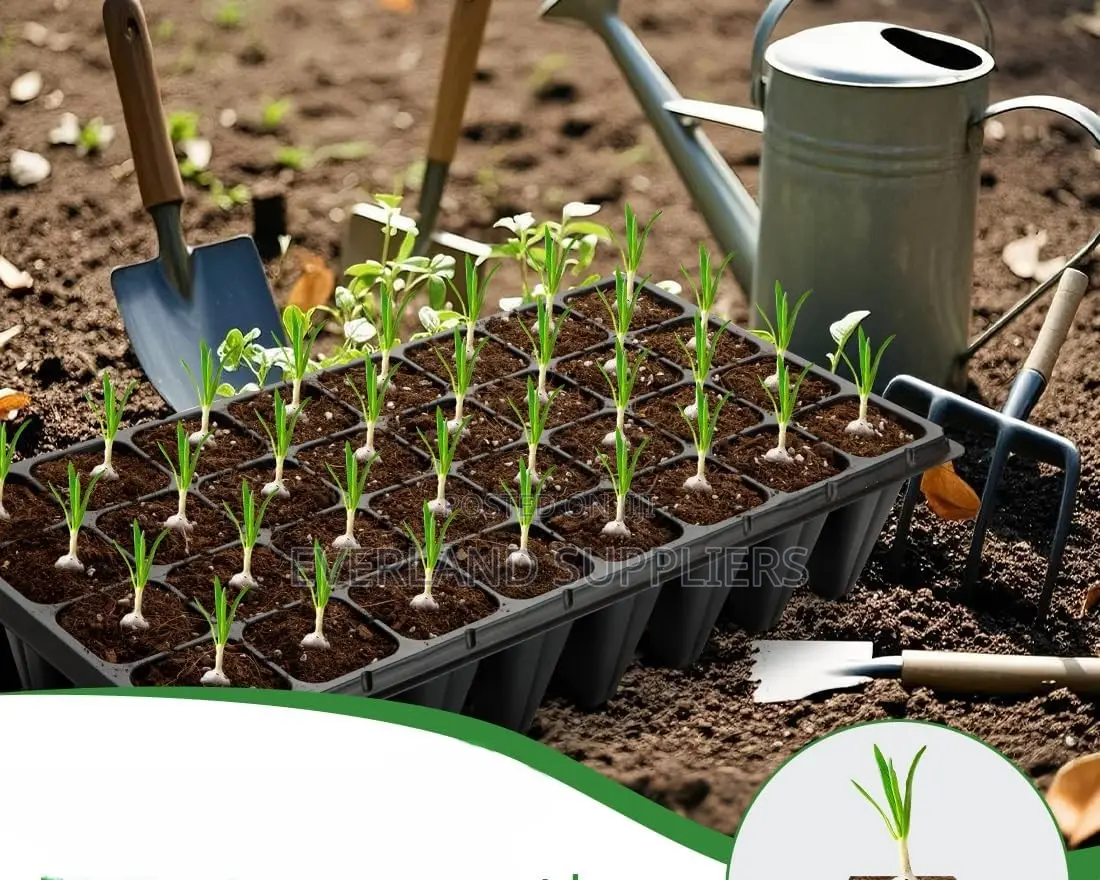 Quality Seedling Trays for Every Grower