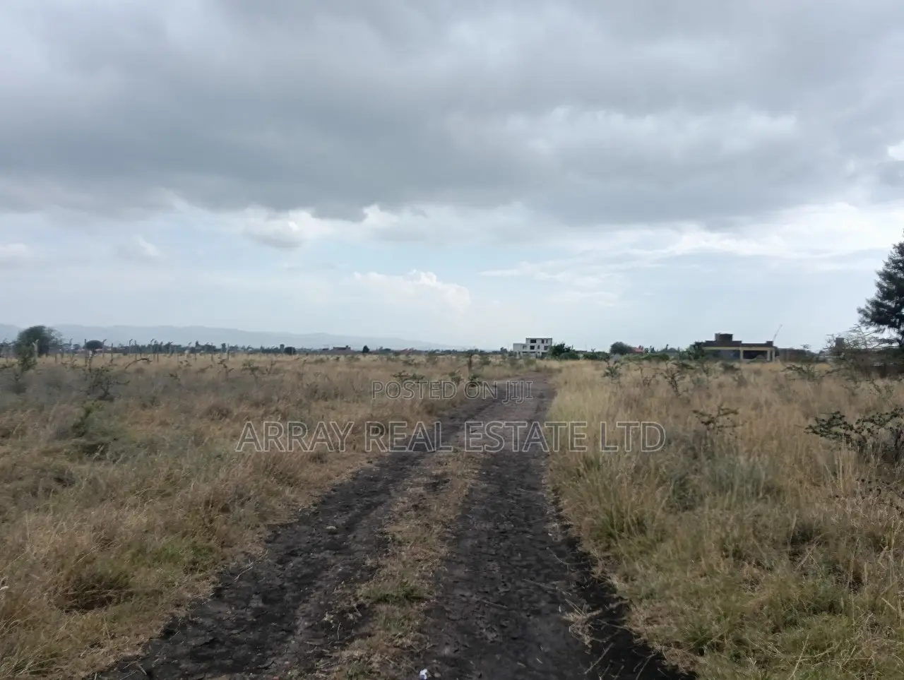 50×100 Plot for Sale in Joska