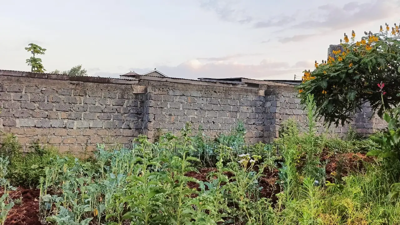 Land for Sale in Regen