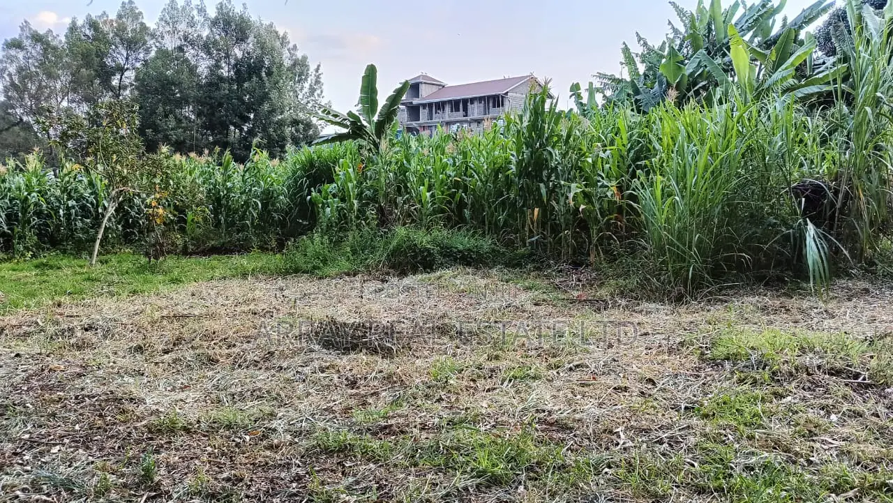 Land for Sale in Regen