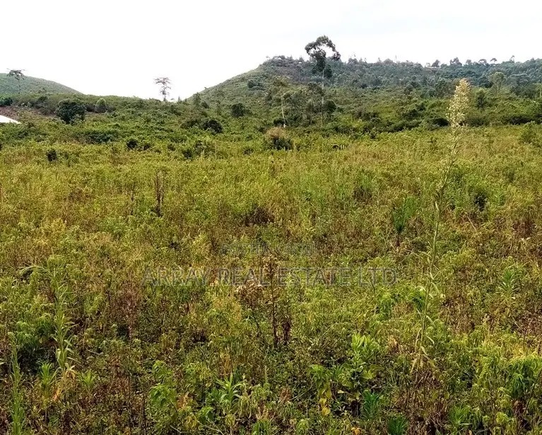 Western Hills – 1/8 Acre Residential Plots for Sale in Dago, Kisumu