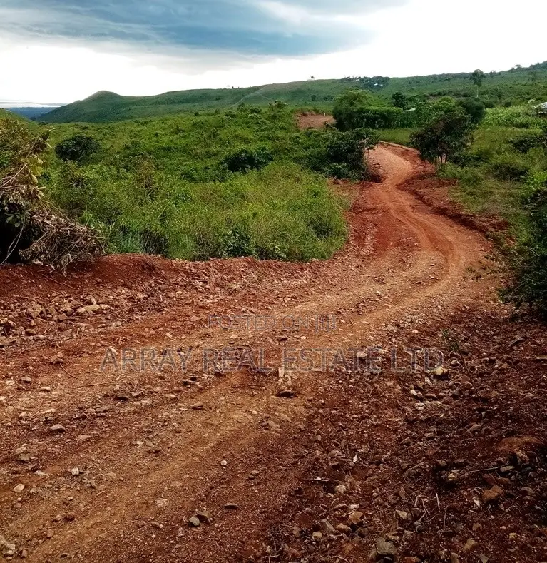 Western Hills – 1/8 Acre Residential Plots for Sale in Dago, Kisumu