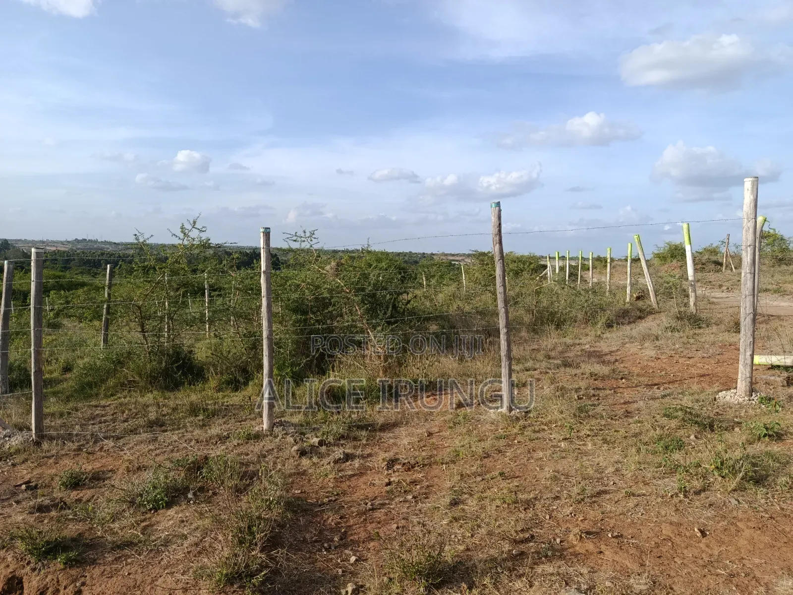 Plots for Sale Juja Farm, Kiambu