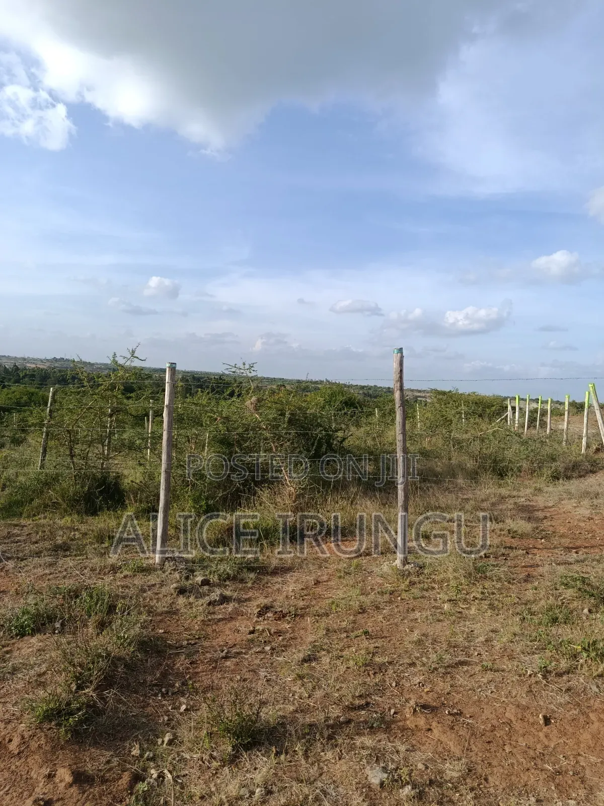 Plots for Sale Juja Farm, Kiambu