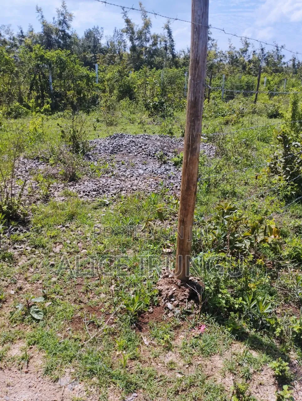 Plots for Sale in Murang’a. Own Your Piece of Land Today