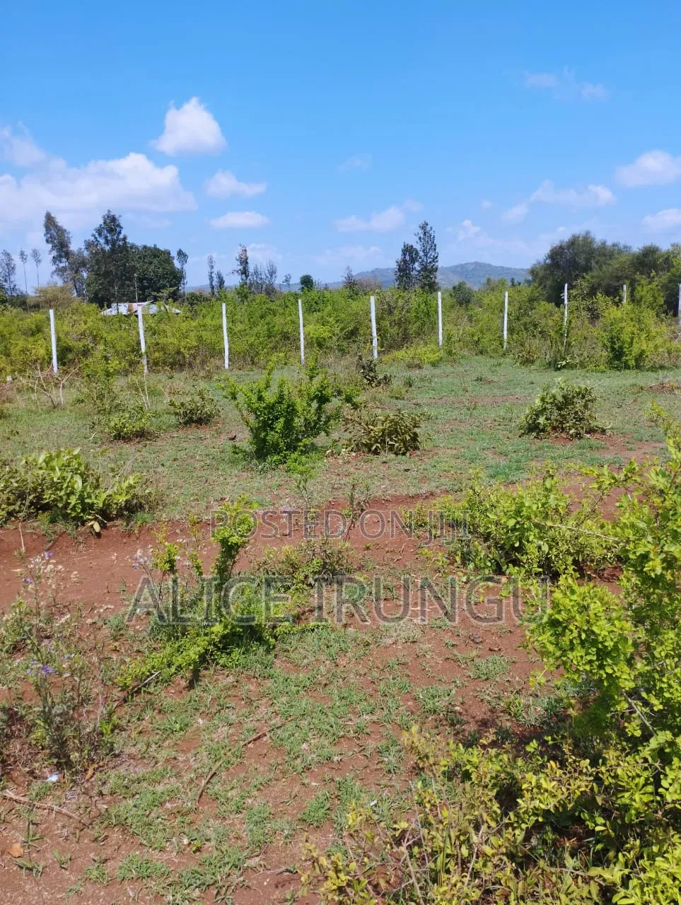 Plots for Sale in Murang’a. Own Your Piece of Land Today