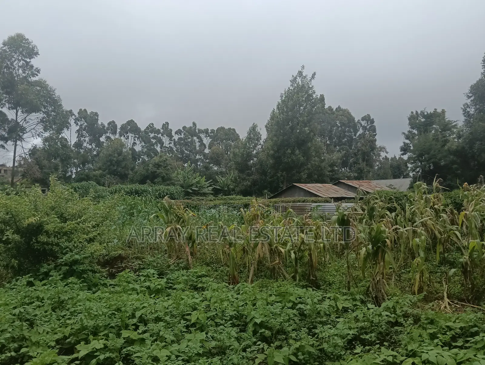 1⁄2 Acre Commercial Land for Sale in Limuru