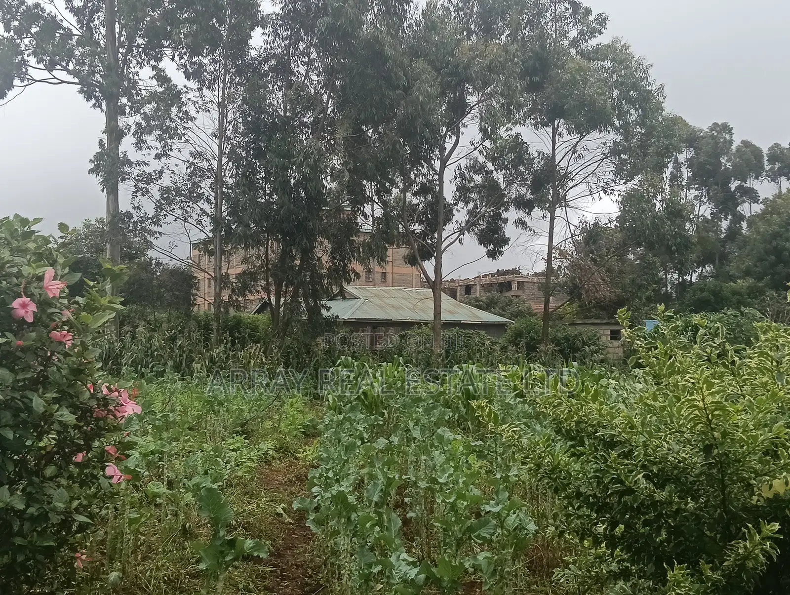 1⁄2 Acre Commercial Land for Sale in Limuru