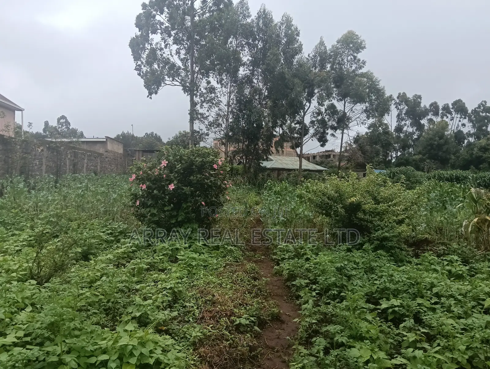 1⁄2 Acre Commercial Land for Sale in Limuru