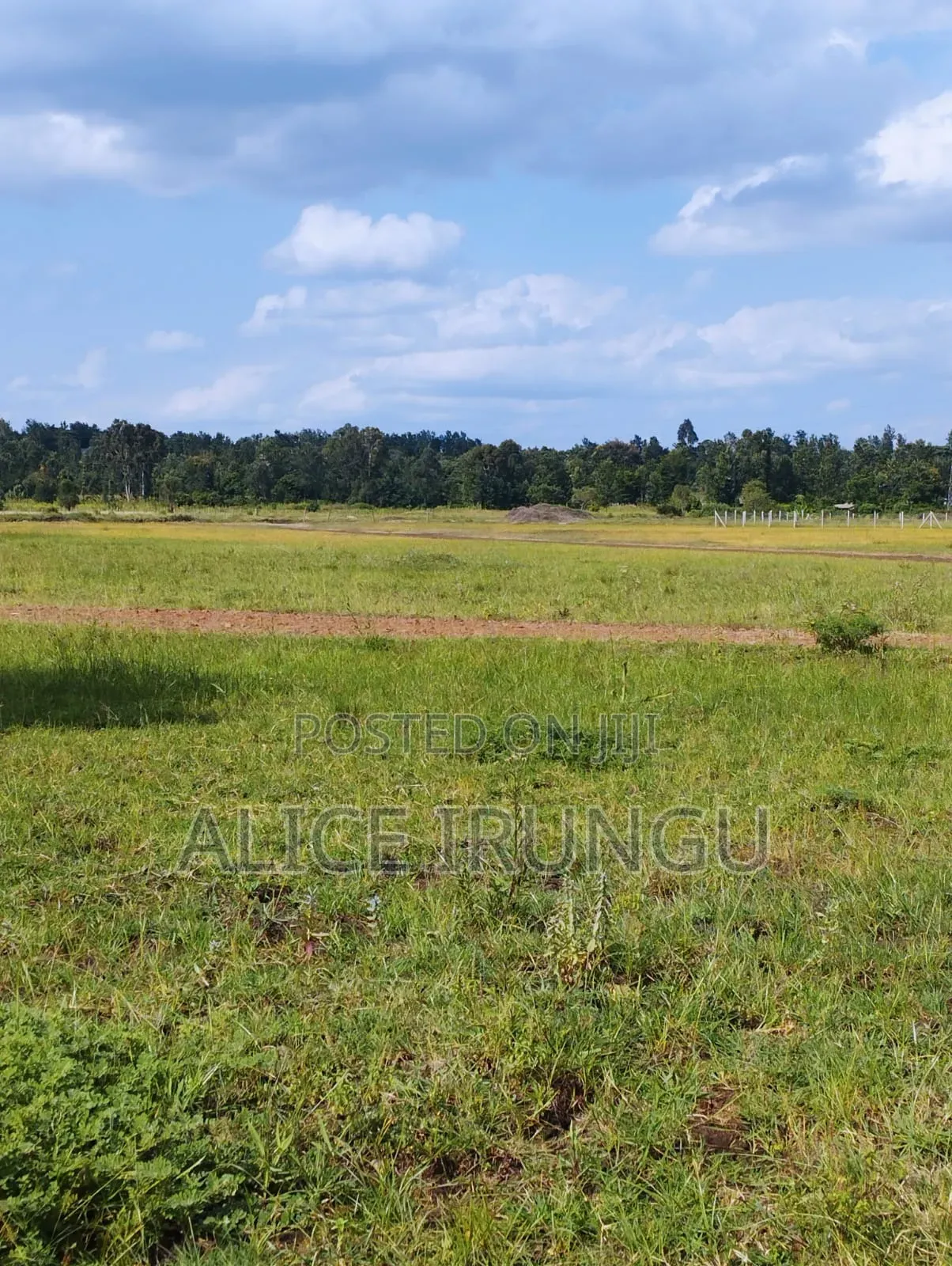 Plots for Sale Near Sagana Town | Kenol–marua Dual Carriageway
