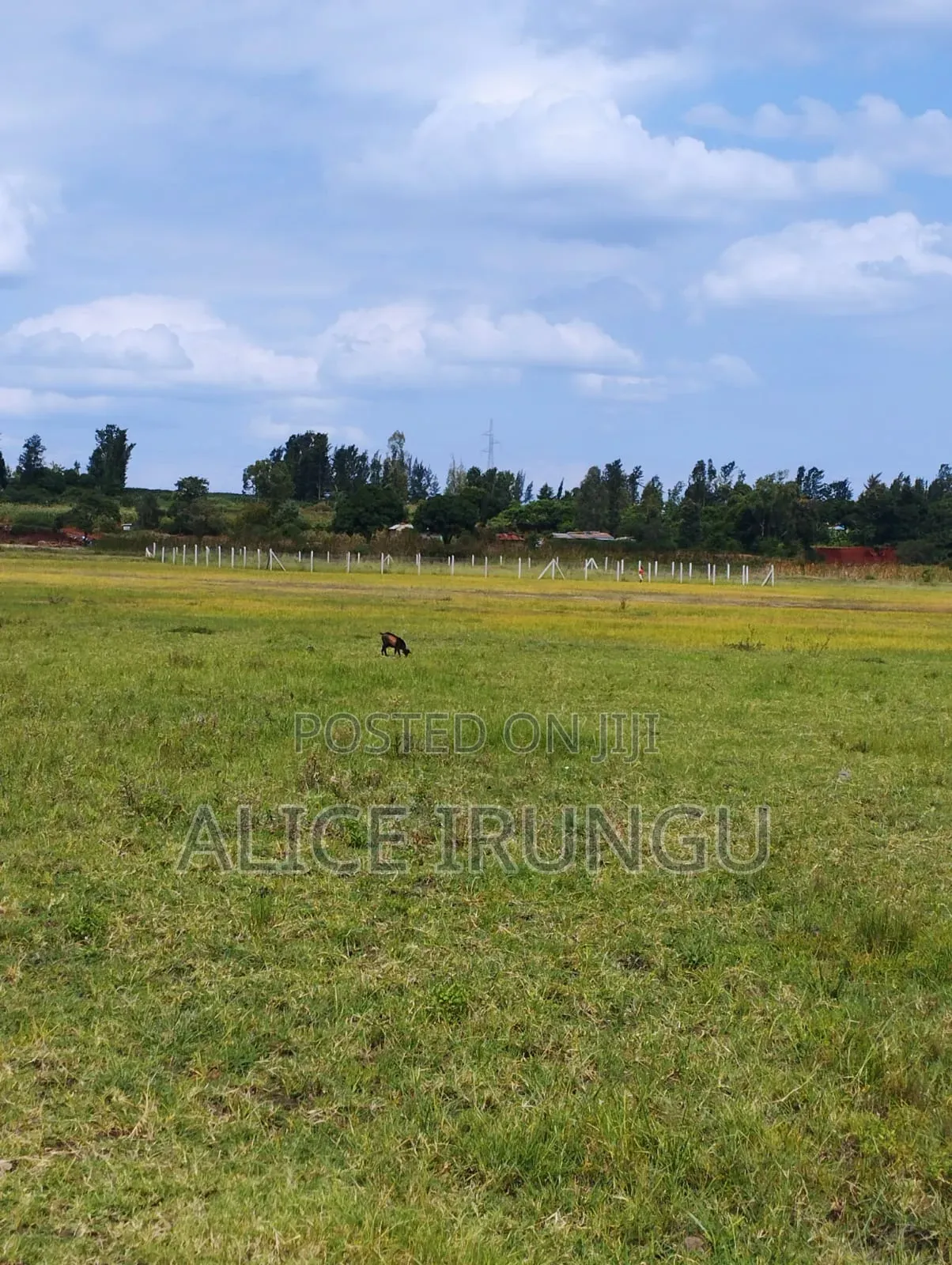 Plots for Sale Near Sagana Town | Kenol–marua Dual Carriageway