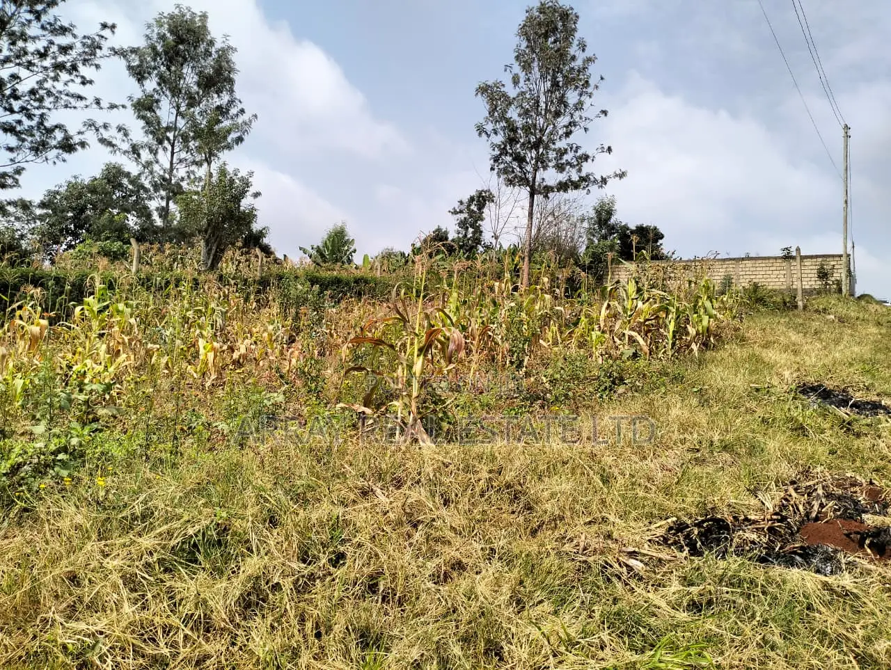 Prime 50×100 Plots for Sale in Lower Kabete