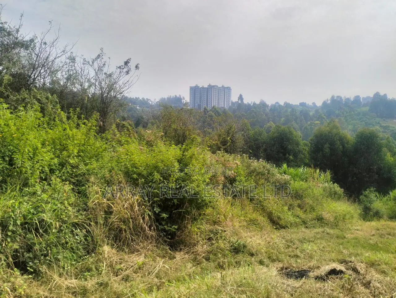 Prime 50×100 Plots for Sale in Lower Kabete