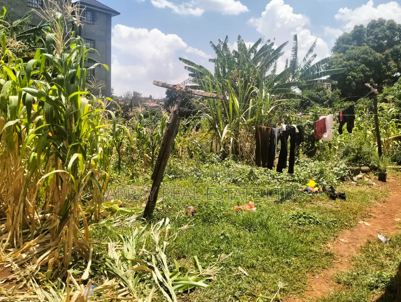 Prime Land for Sale in Kingeero – Kanisa Road