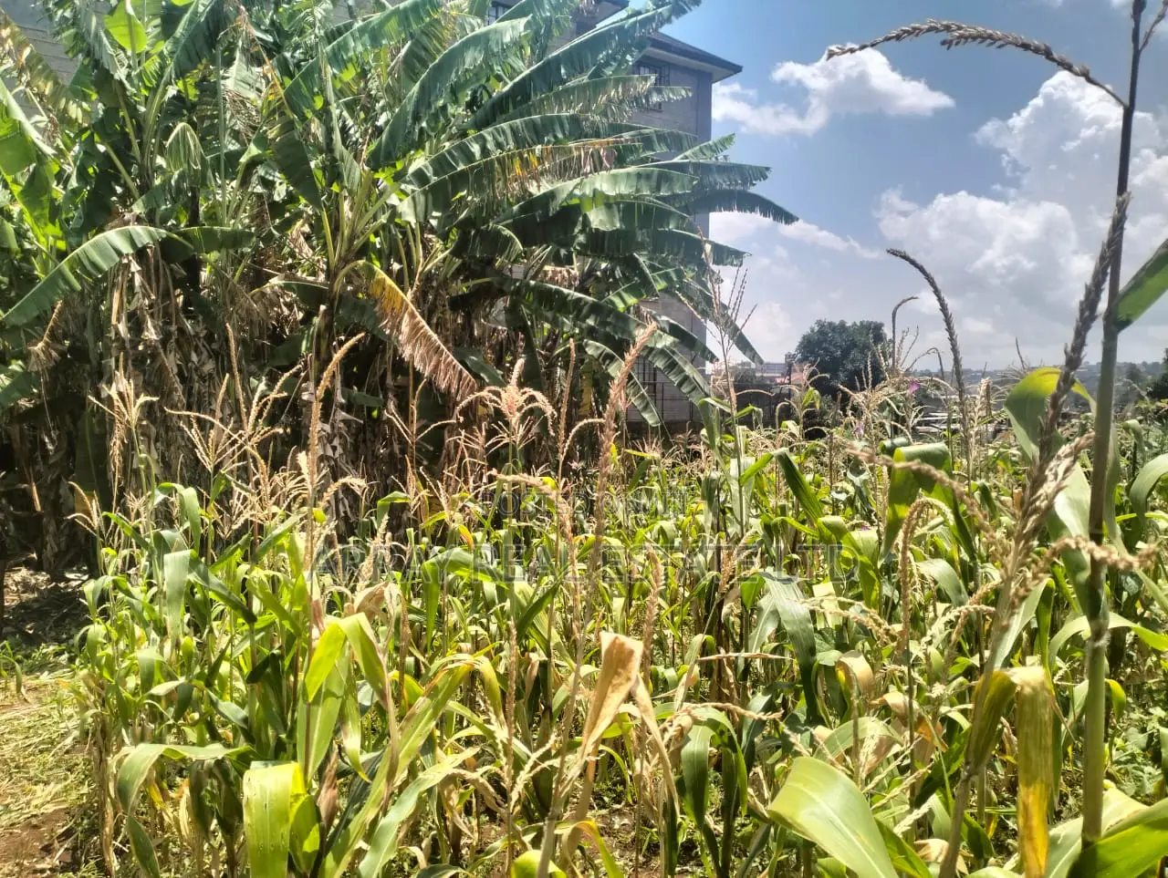 Prime Land for Sale in Kingeero – Kanisa Road