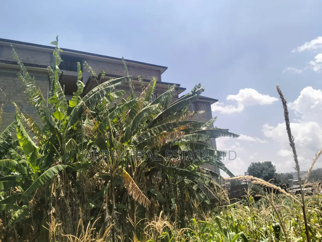 Prime Land for Sale in Kingeero – Kanisa Road
