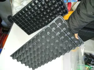 Easy-to-Manage Planting Trays