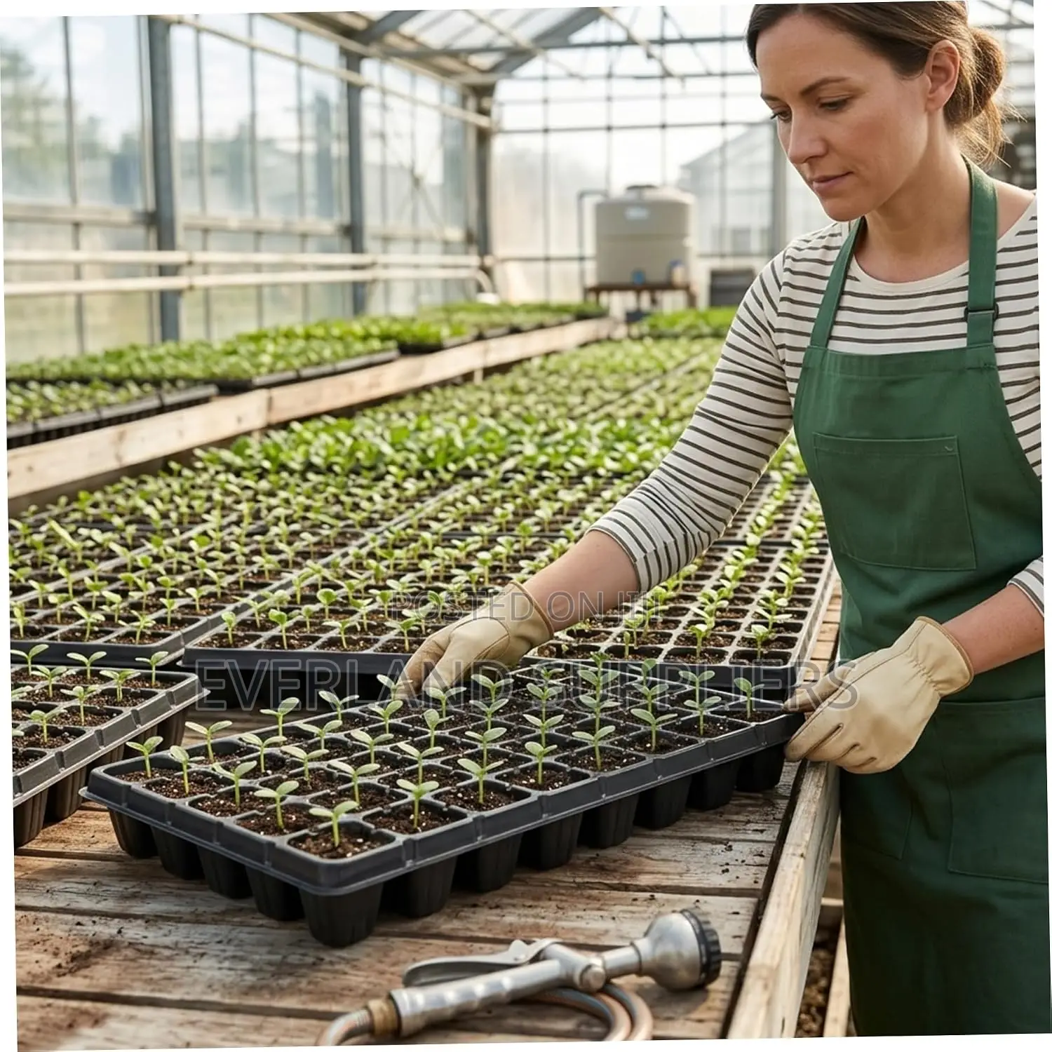 Smart Seedling Solutions for Farmers