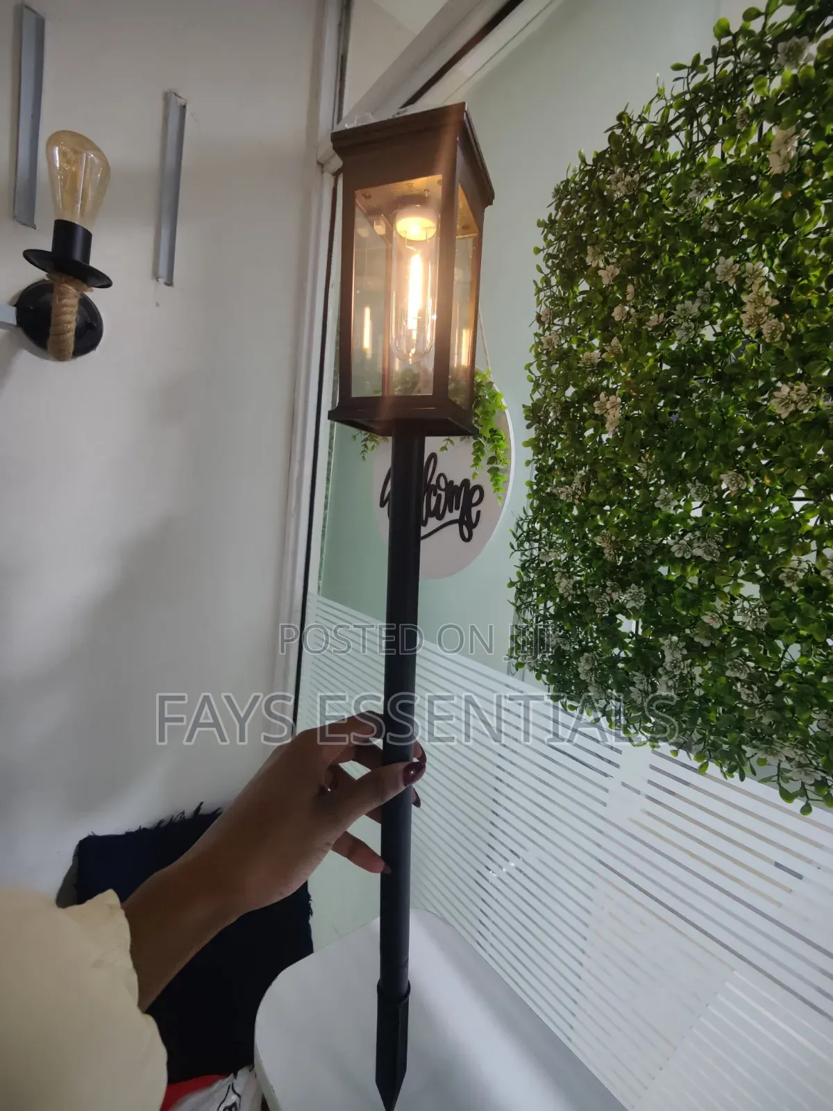 Solar Outdoor Garden Lights