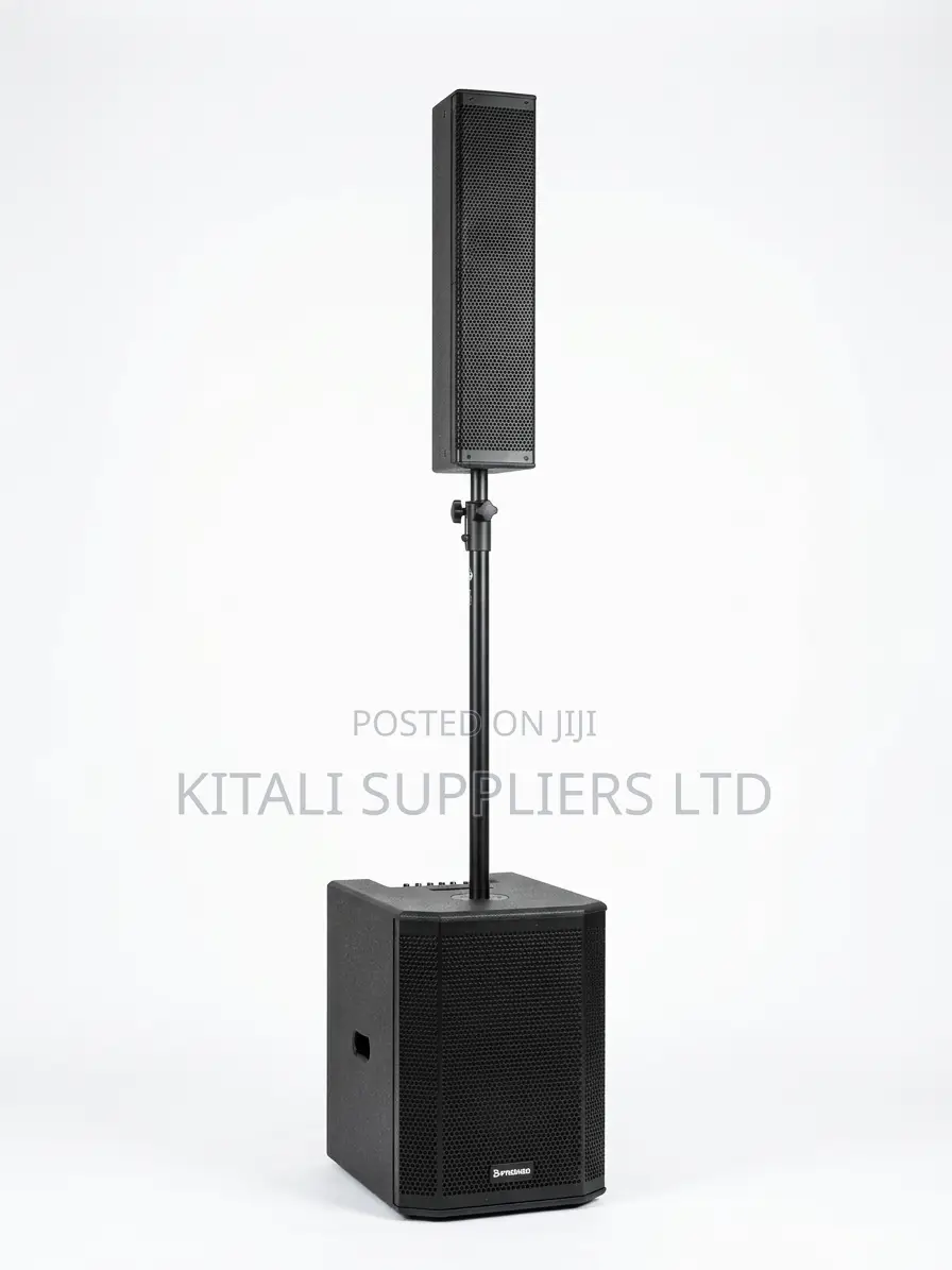 Premier 15-Inch Active Professional Column Speaker System 5000W
