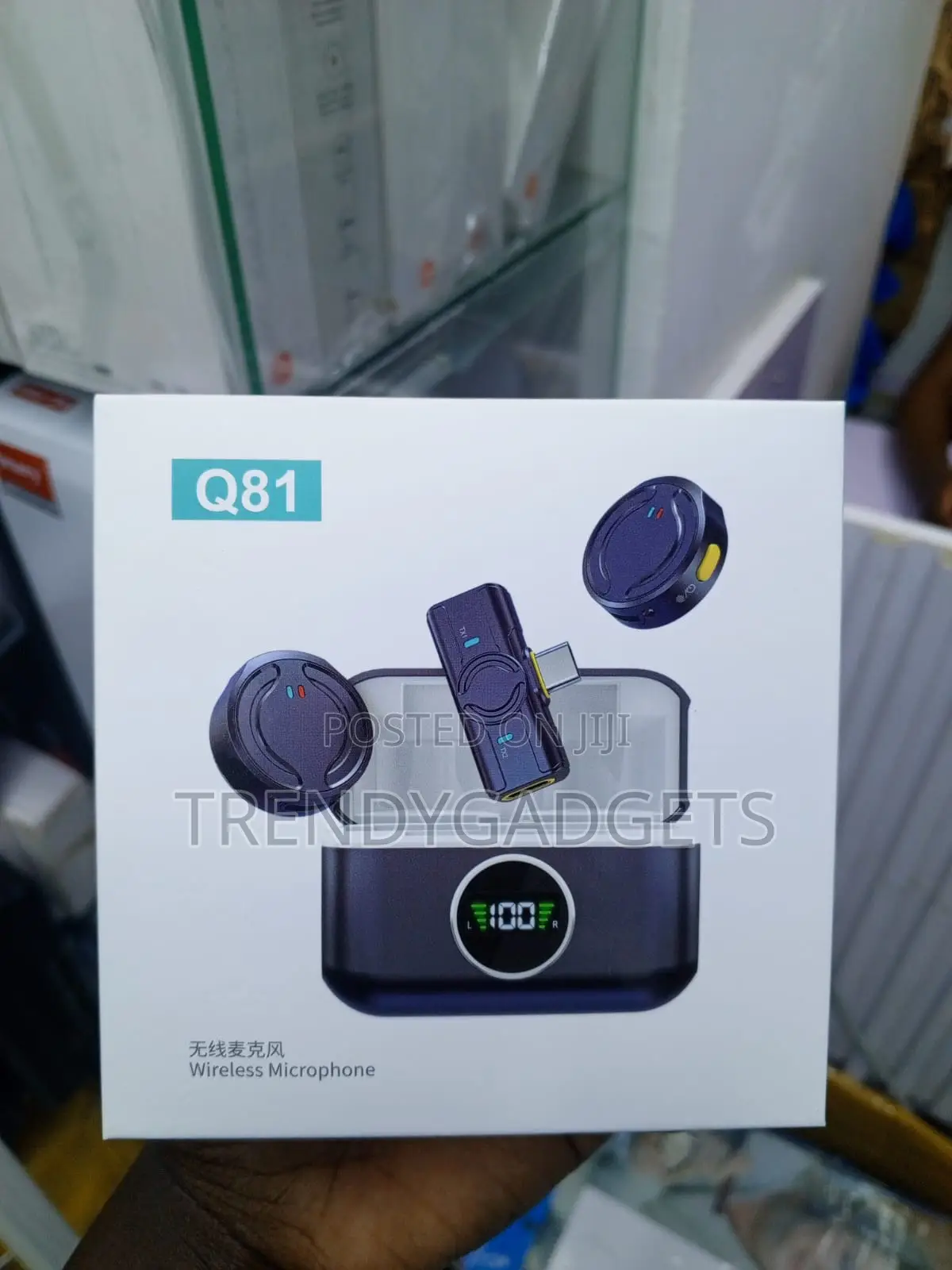 Q81 Wireless Microphone Set With Dual Mics and LED Case