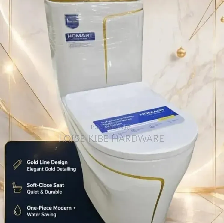 One-Piece Modern Toilet Available