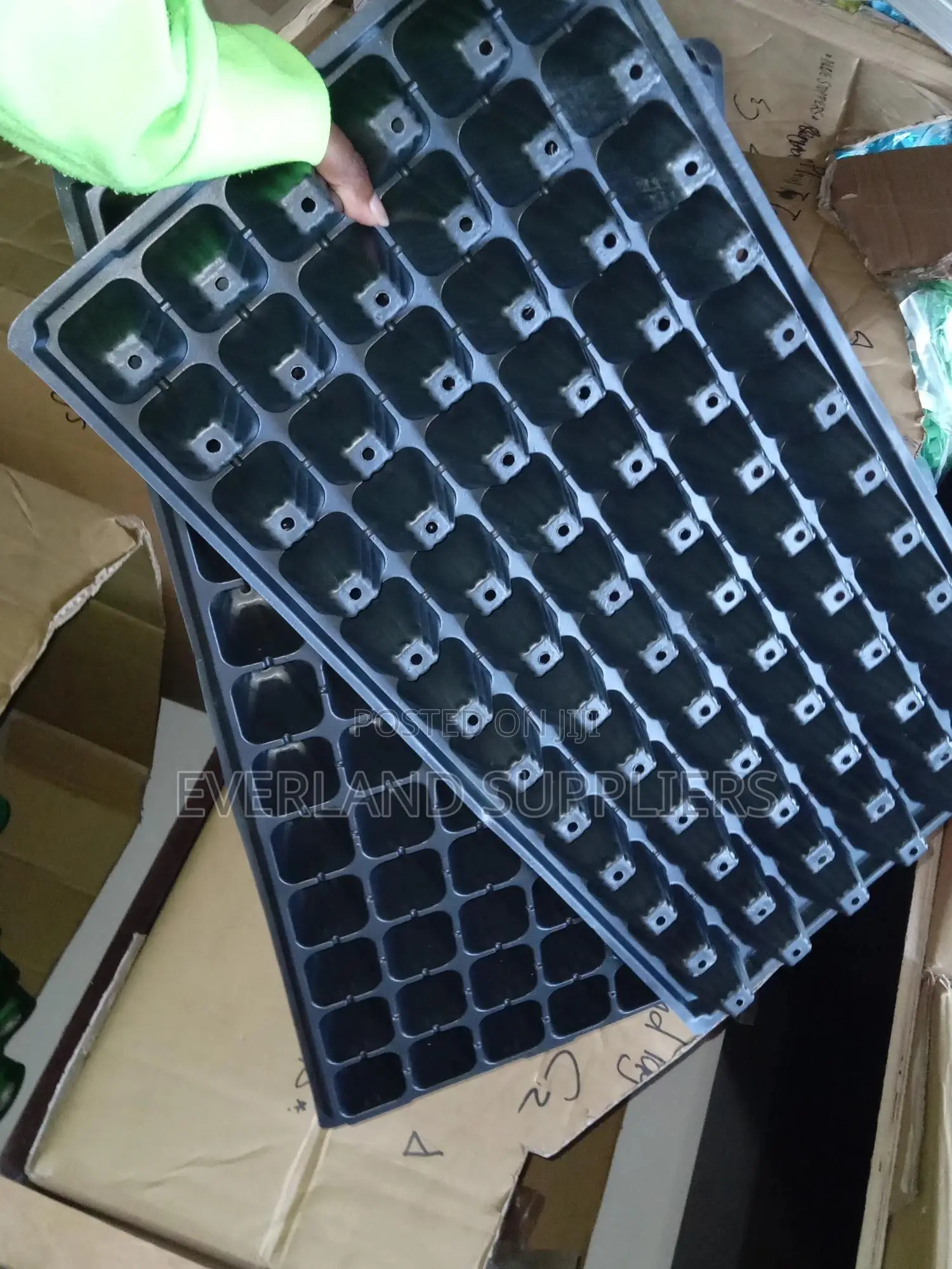 Organized Seedling Growing Trays
