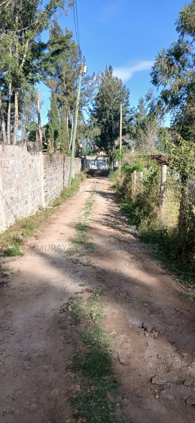 Prime 1⁄8-Acre Plot for Sale in Kerarapon Drive – KSH 12 Million!