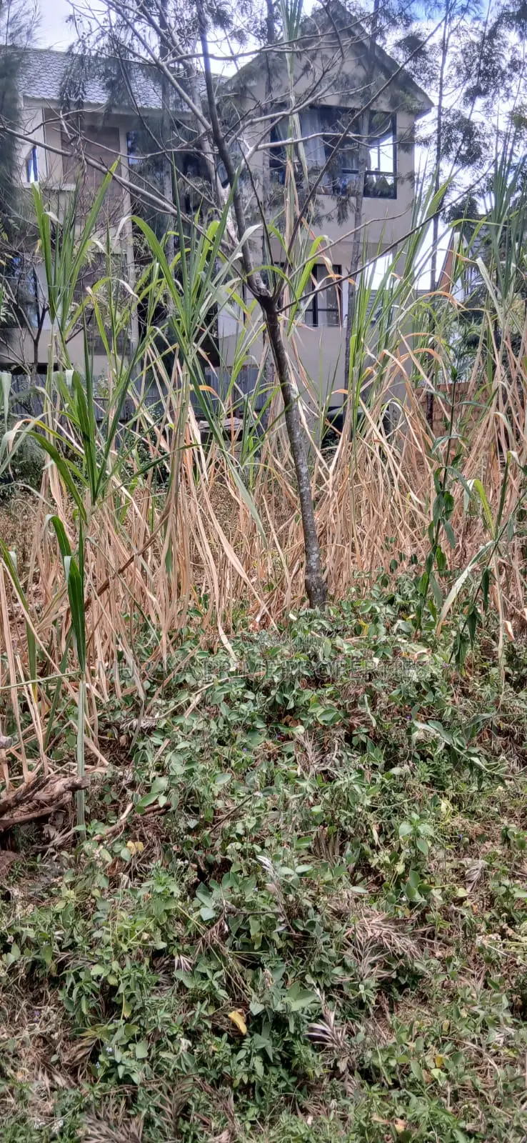 1/8 Acre Plot for Sale in Kerarapon Drive – KSH 9 Million (Negotiable)