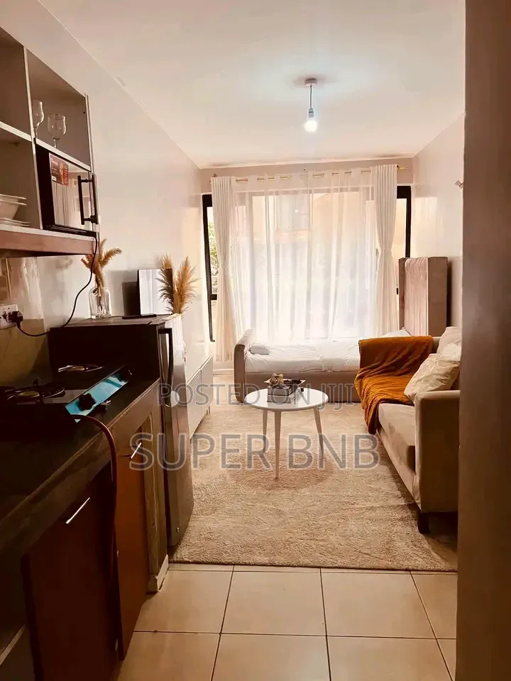 Cozy Studio | Thindigua 
 KSH 2,500