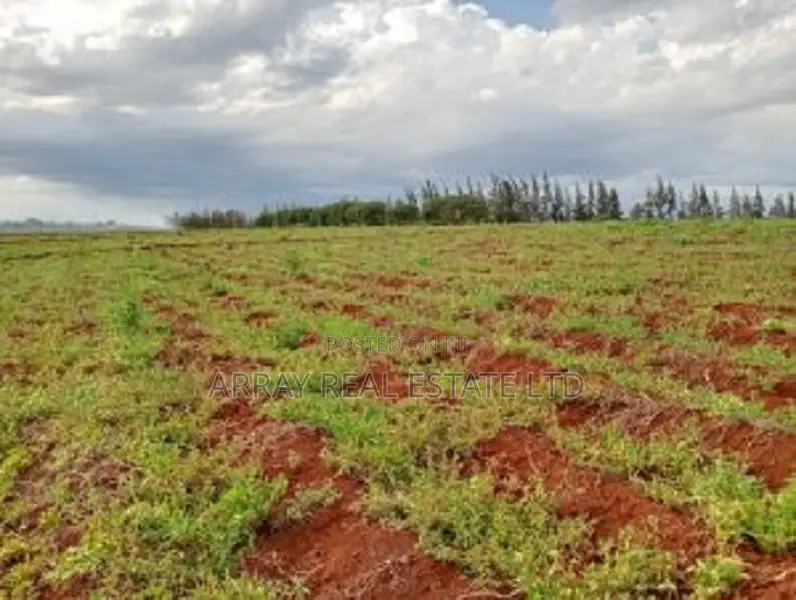50 X 100 Plots for Sale in Baraka Gardens, Gatanga