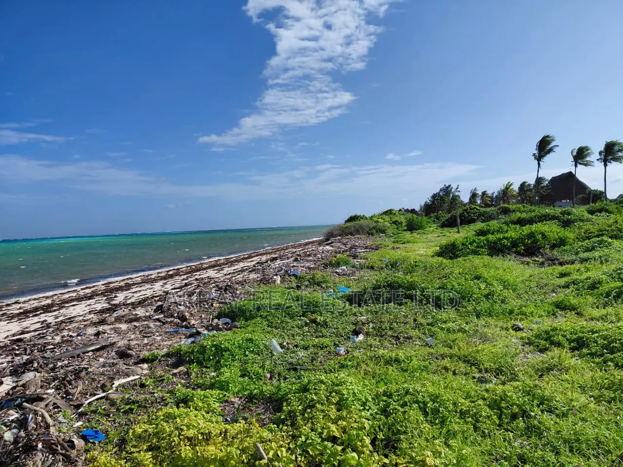 8 Acres Sandy Beachfront Land for Sale in Jacaranda, Watamu
