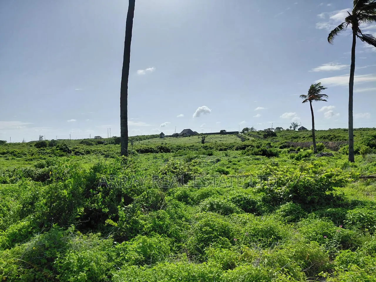 8 Acres Sandy Beachfront Land for Sale in Jacaranda, Watamu