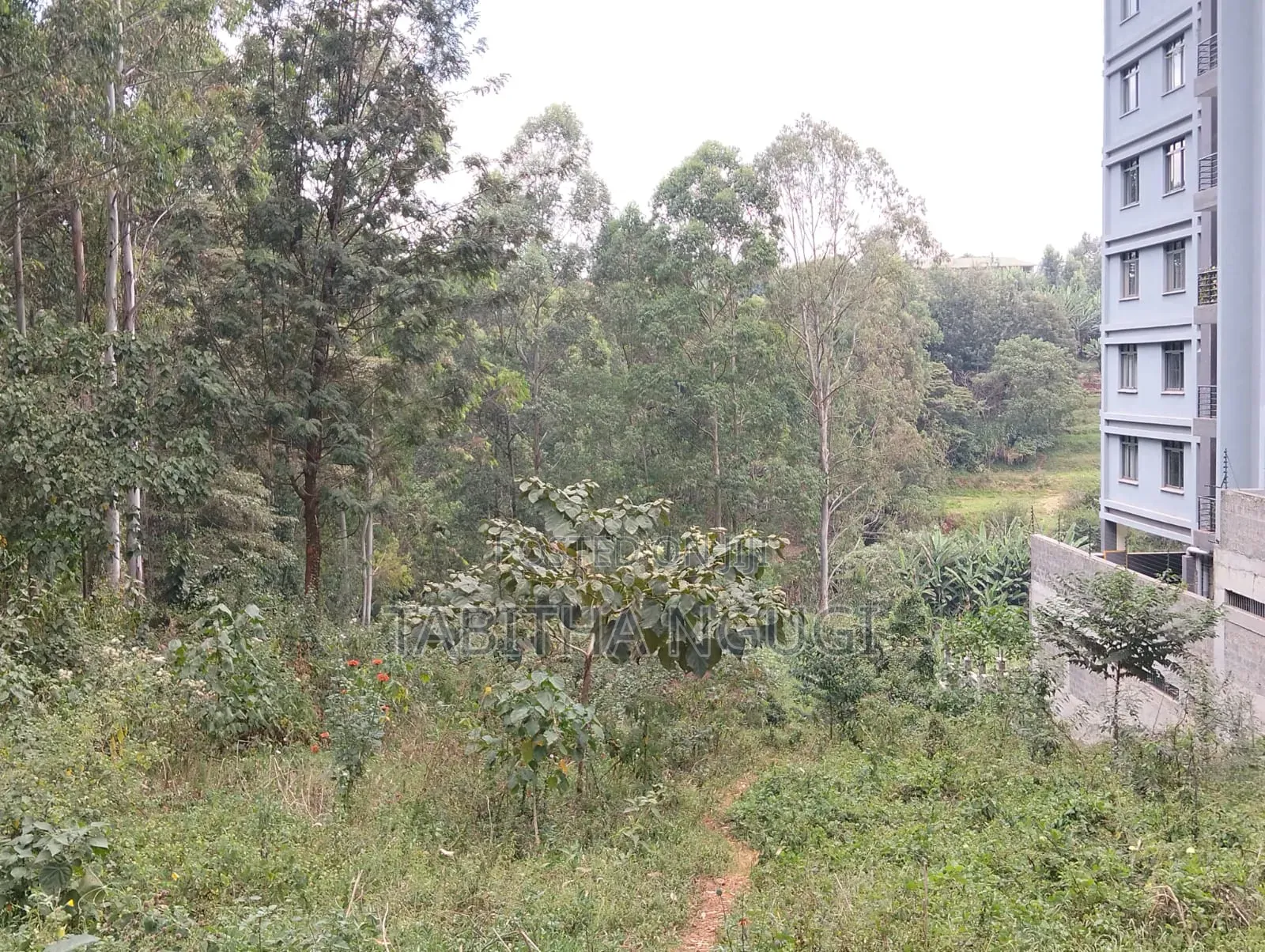 1/2 an Acre in Tigoni.Kentmere