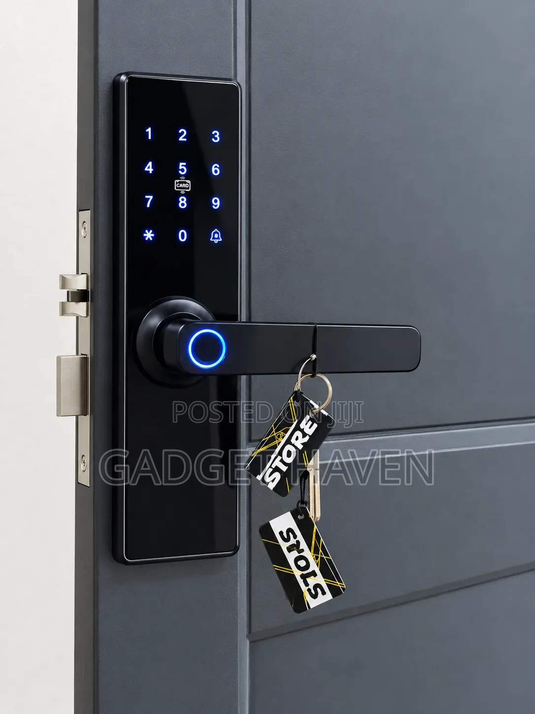 Biometric Door Lock With Fingerprint, Smartphone App and Pin Unlock