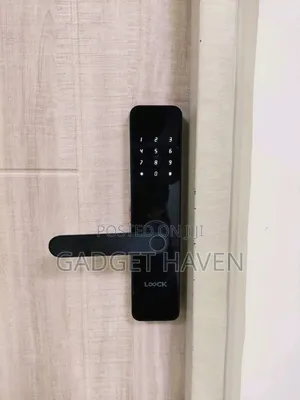 Door Lock With Fingerprint and Password Unlocking Options