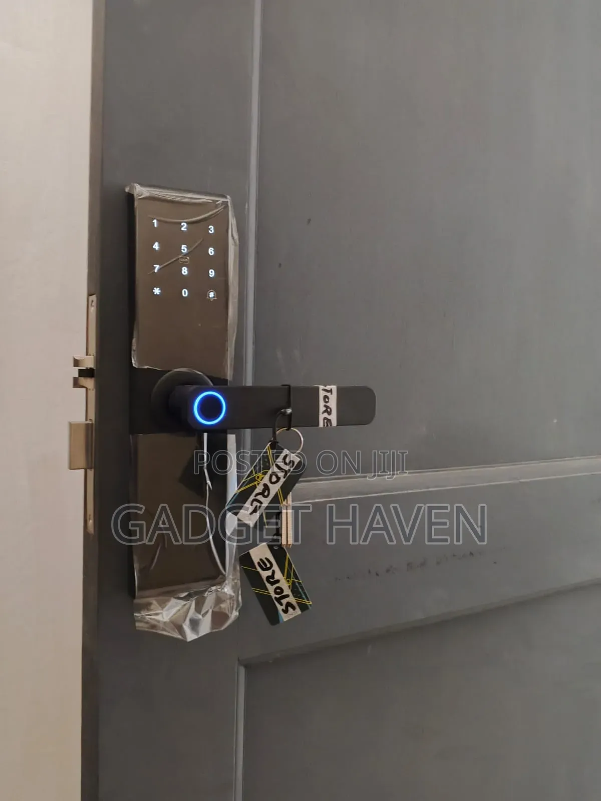 Door Lock With Fingerprint and Password Unlocking Options