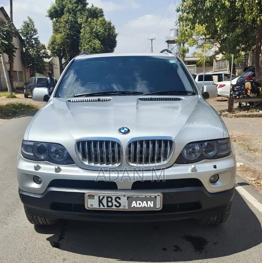 BMW X5 2006 Silver
